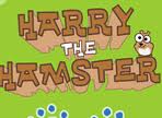 Download Harry The Hamster game